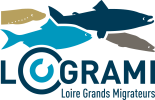 Logo do Pacote