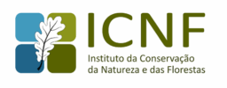 Logo do Pacote