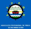 Logo do Pacote