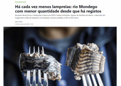 blog-post-image
